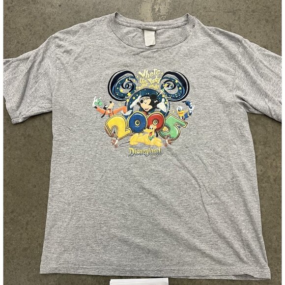 Disneyland 2005 grey tee Size large Measurements Pit to pit 21” Length 27.5” - Picture 1 of 7